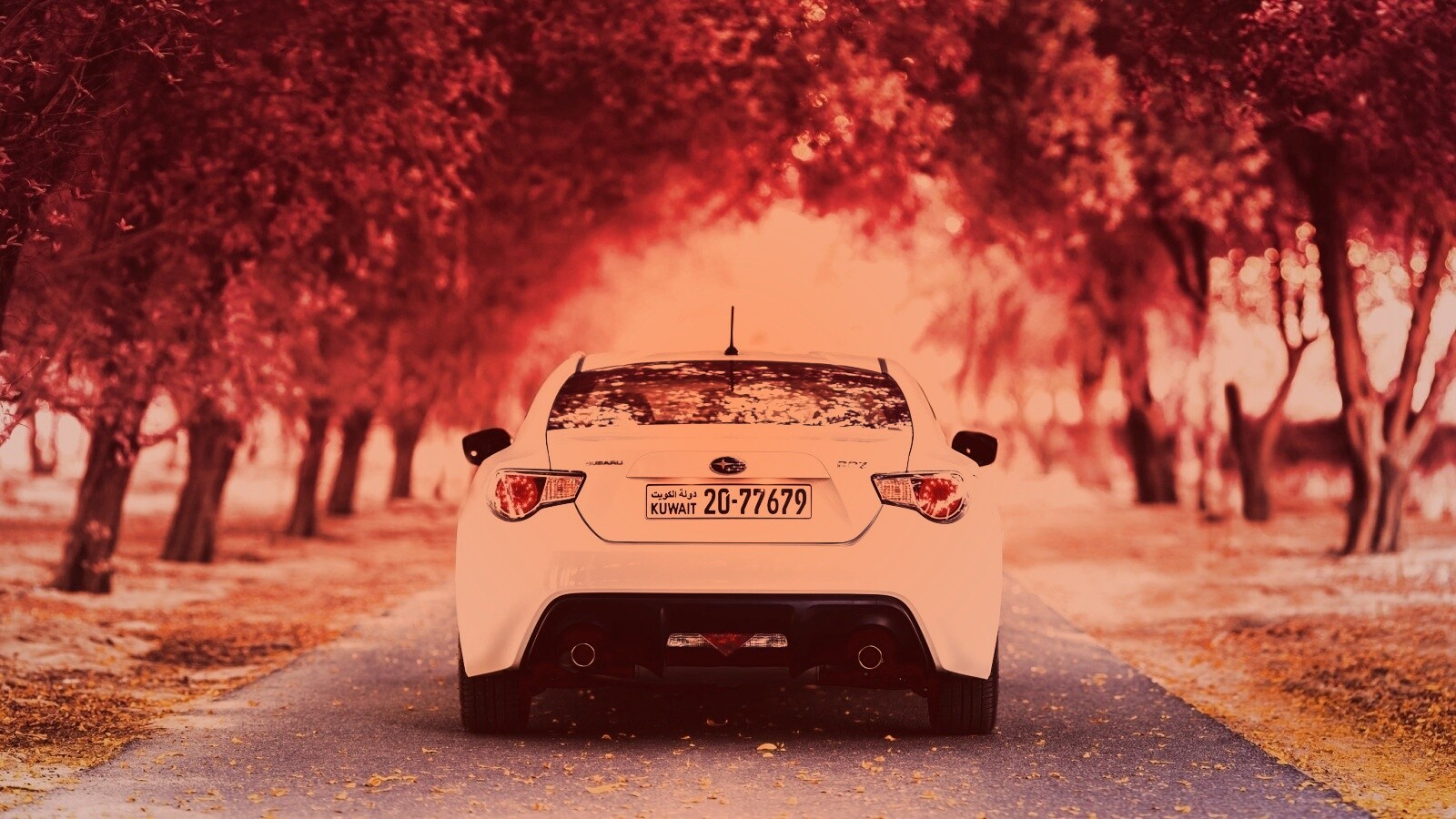 Субару на осенней дороге обои