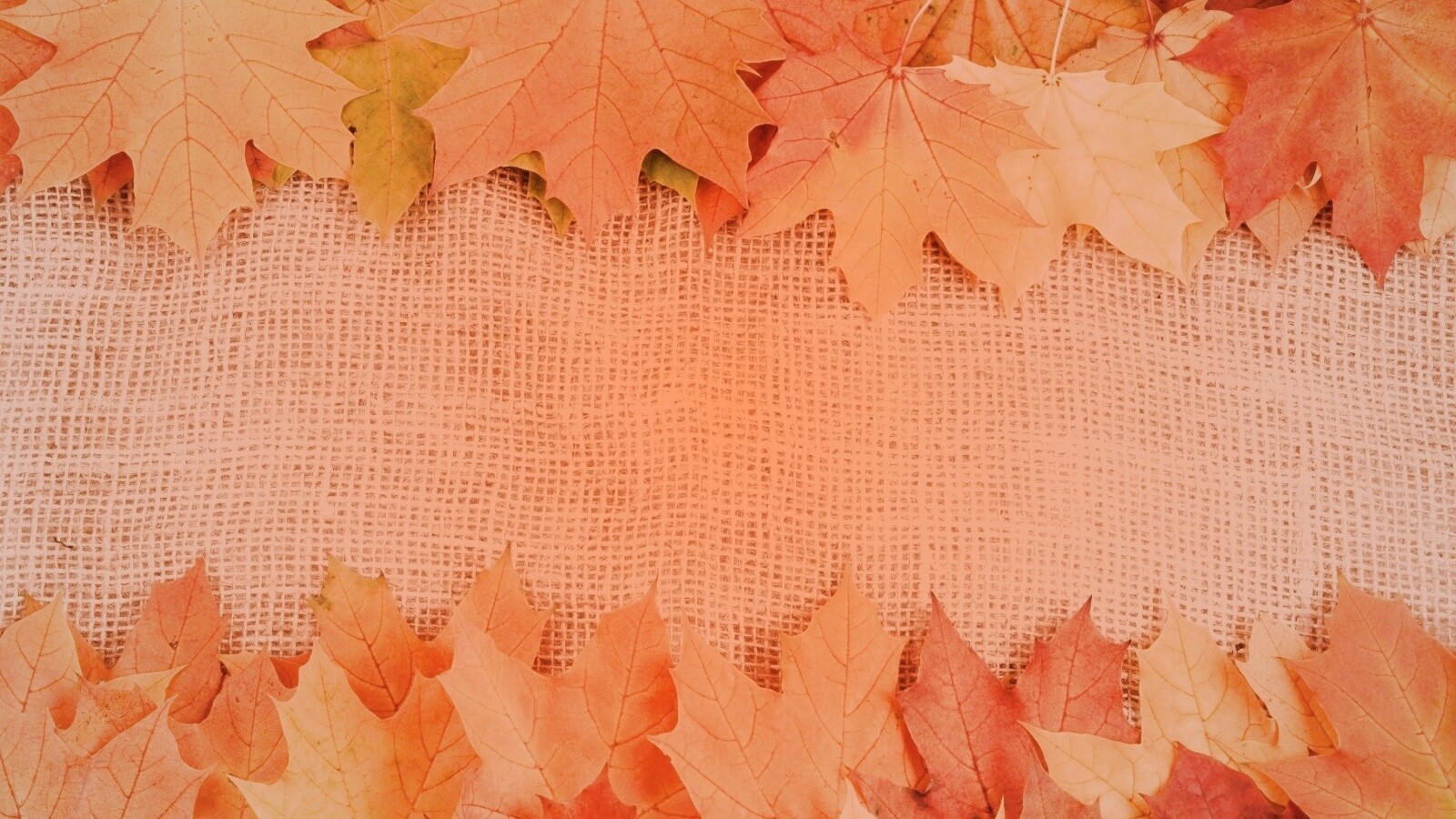 Желтые кленовые листья на холсте обои