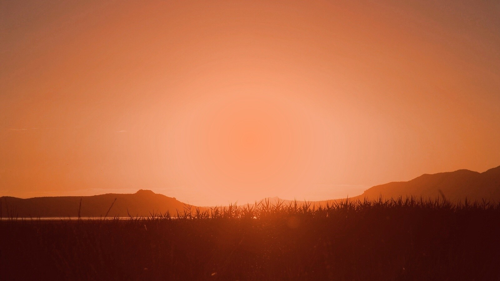 Сельский закат обои