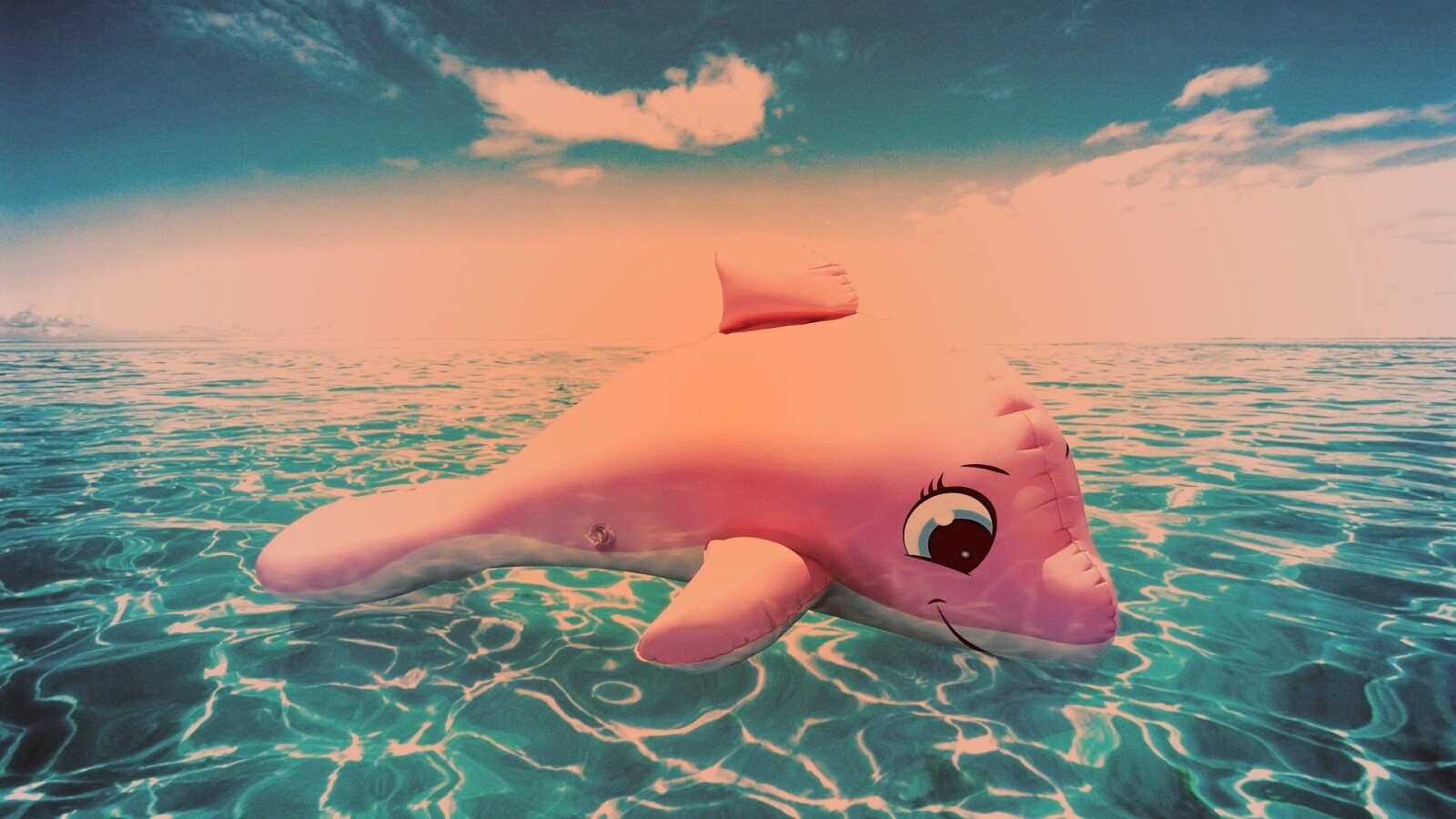 Надувной розовый дельфин обои