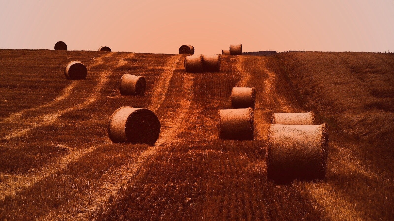 Уборка сена с поля обои