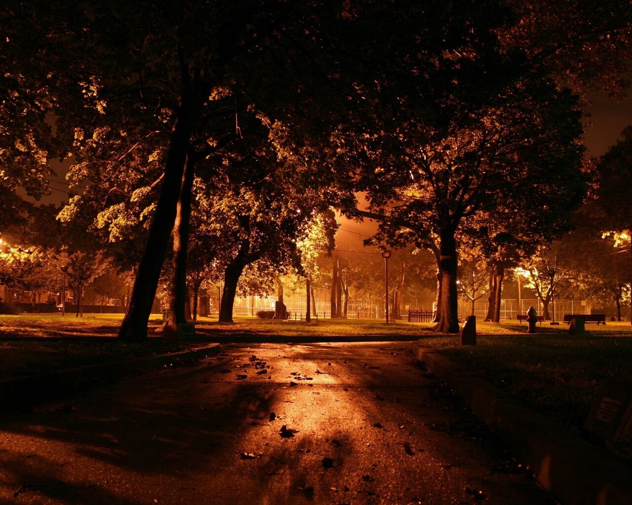 Ночной парк обои