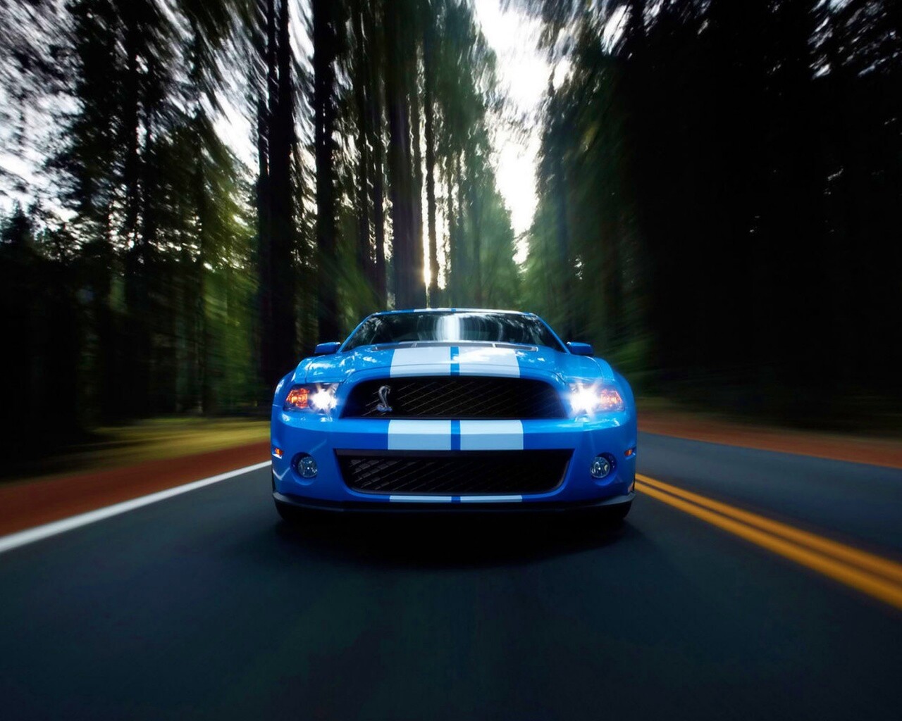 Форд Шелби обои