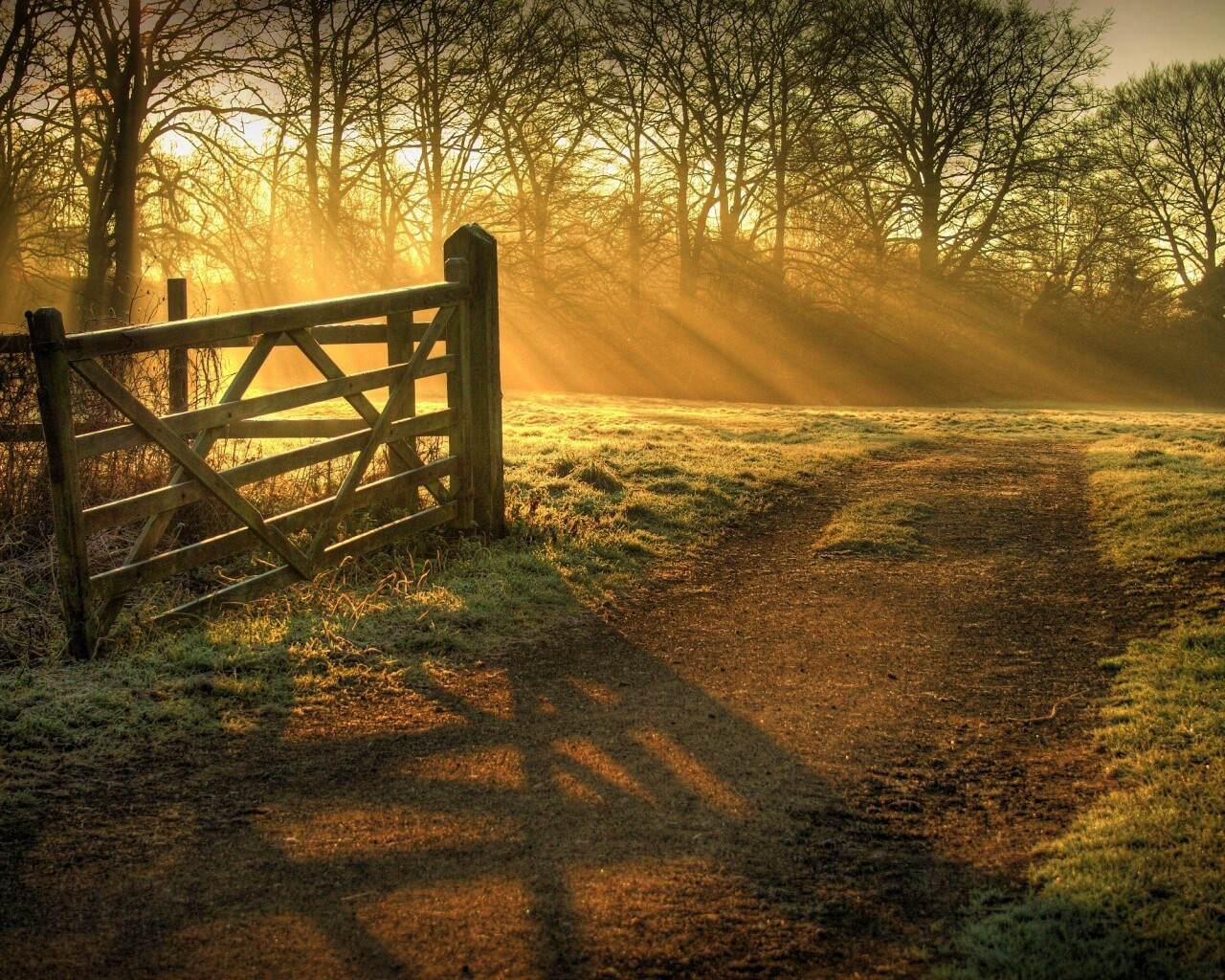 Открытые ворота обои