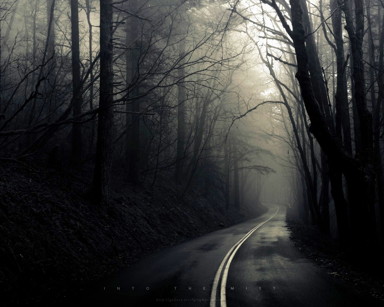 В туман обои