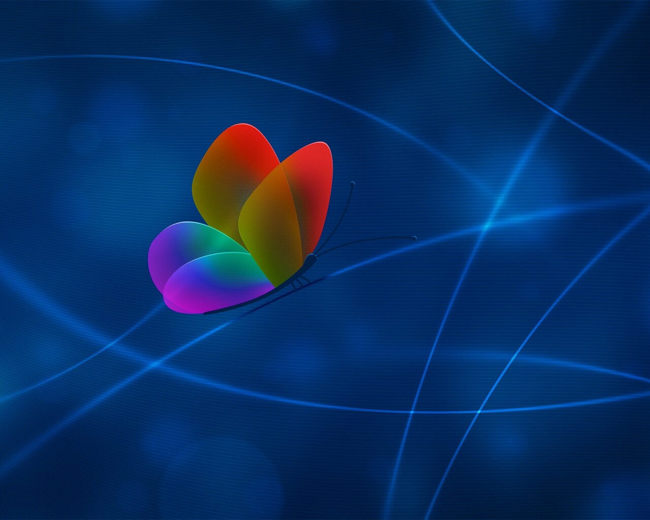 Бабочка с радужными крыльями обои
