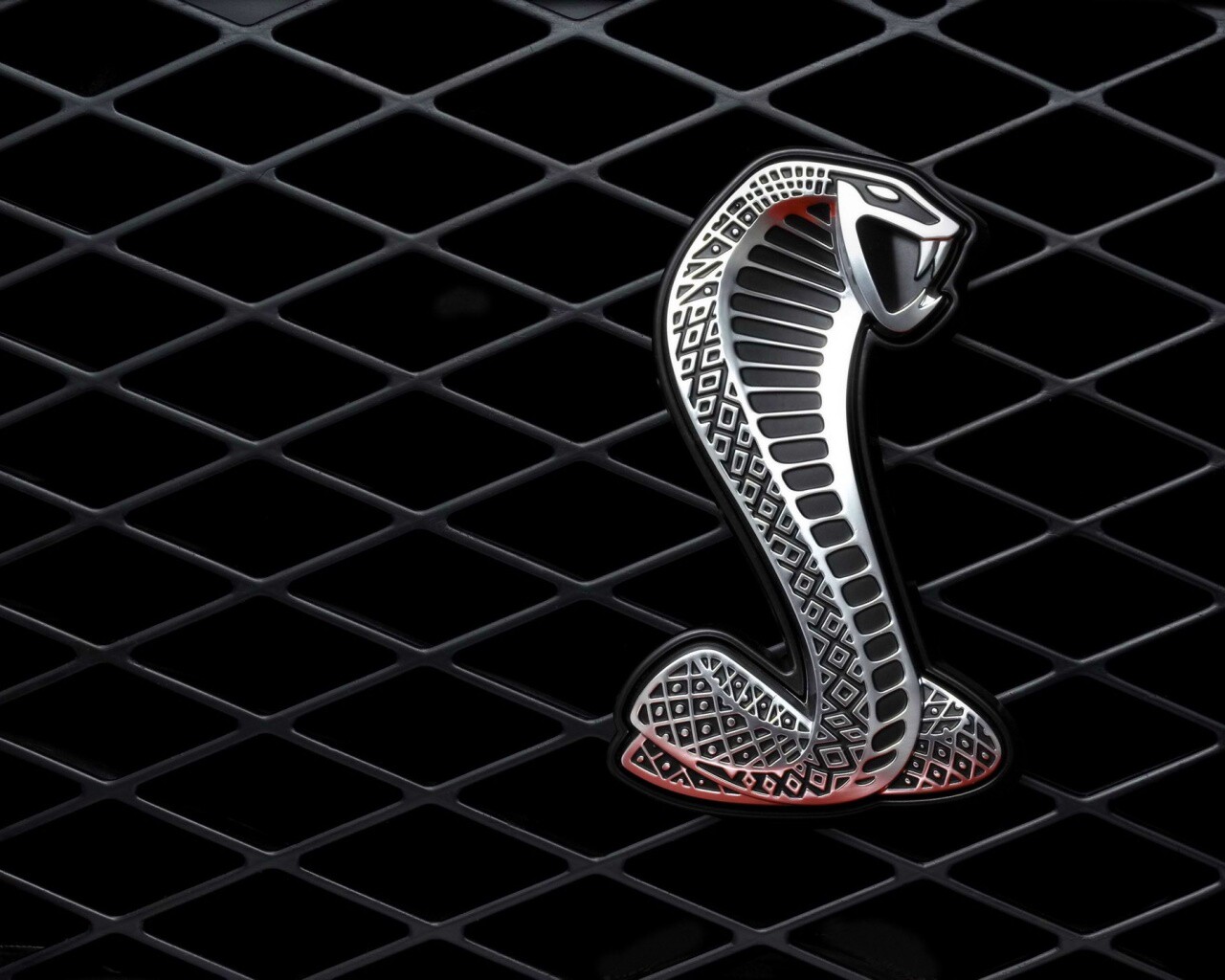 Логотипа Форда Шелби обои