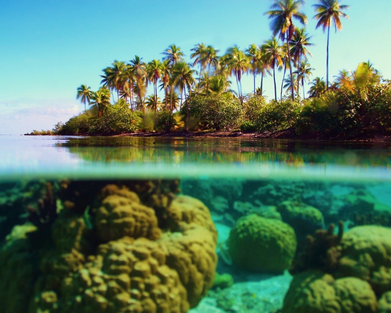 Из-под воды обои