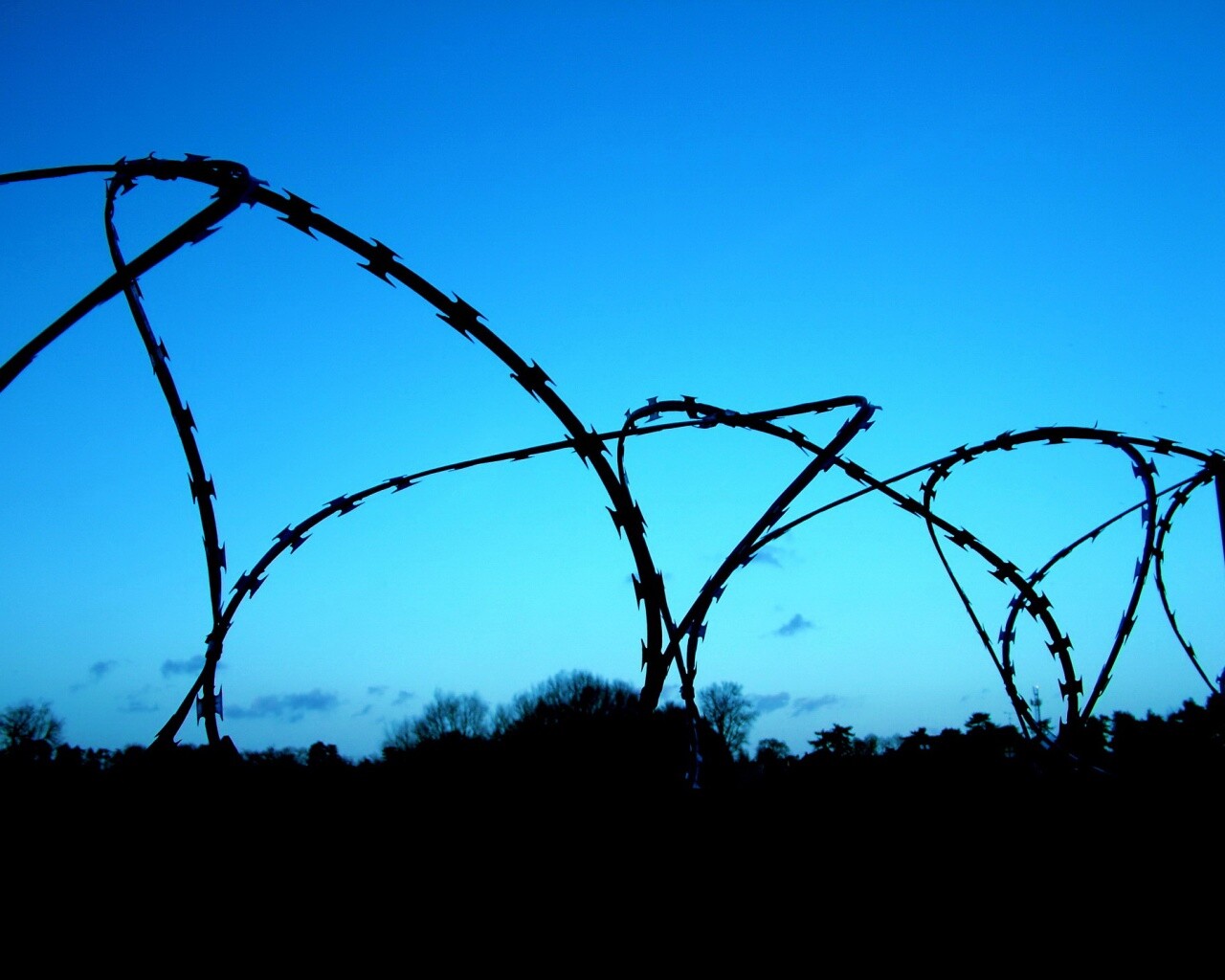 Колючая проволка обои