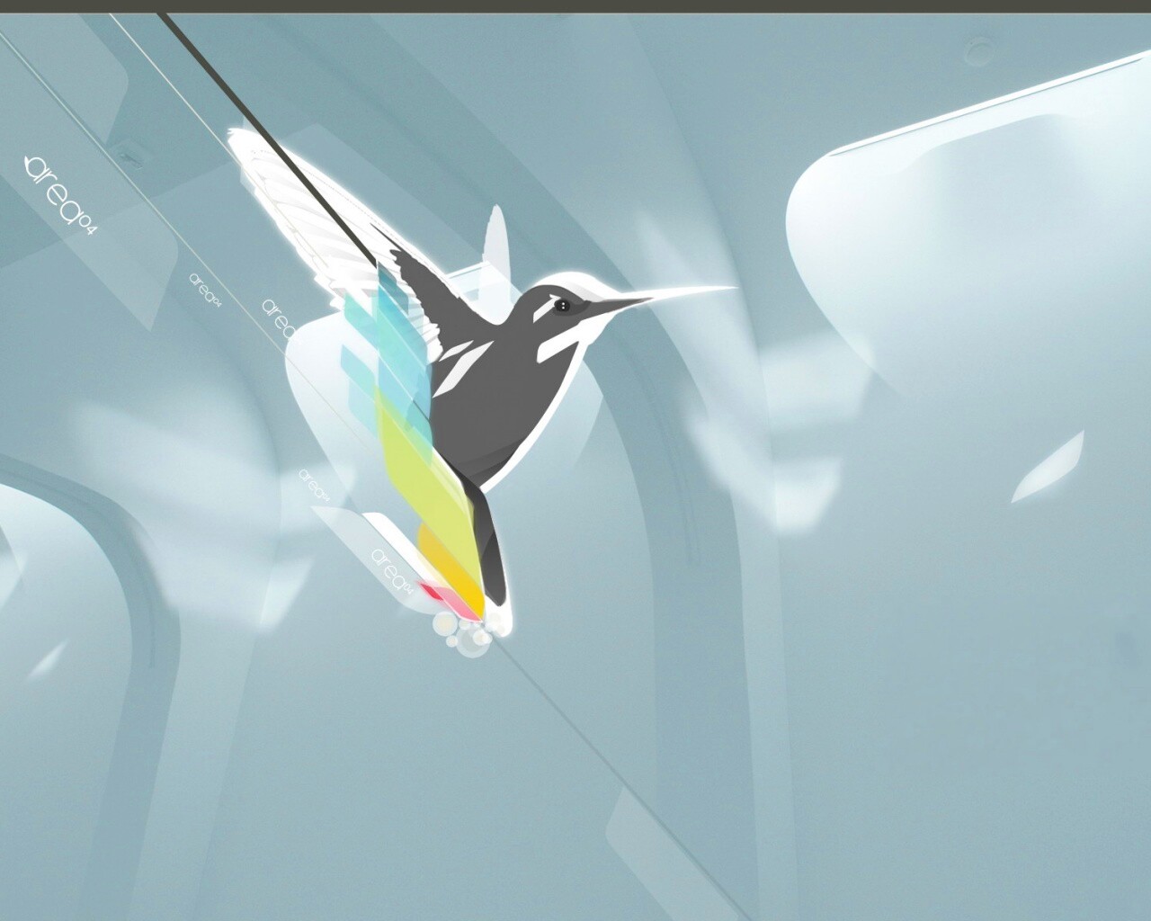 Логотип-колибри обои