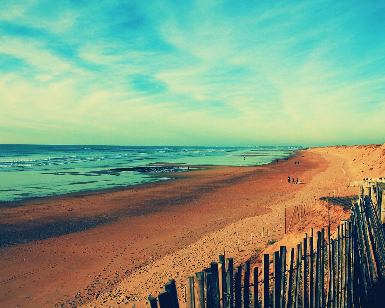 Обмелевший берег обои