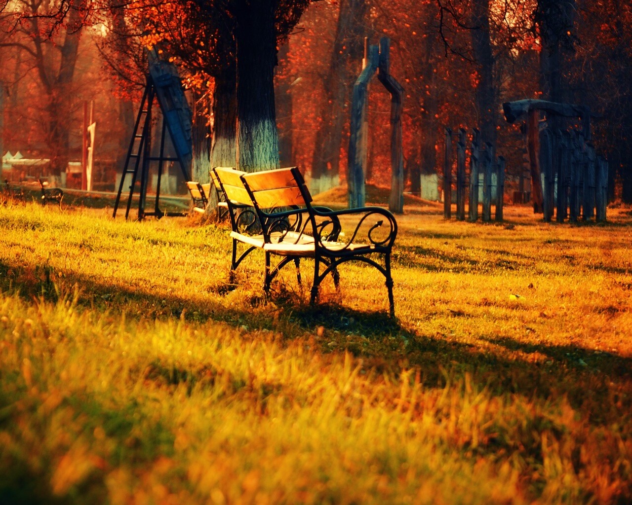 Скаймейка в осеннем парке обои