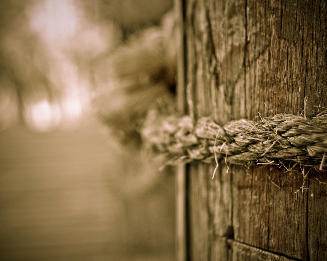 Веревка на деревянном столбе обои