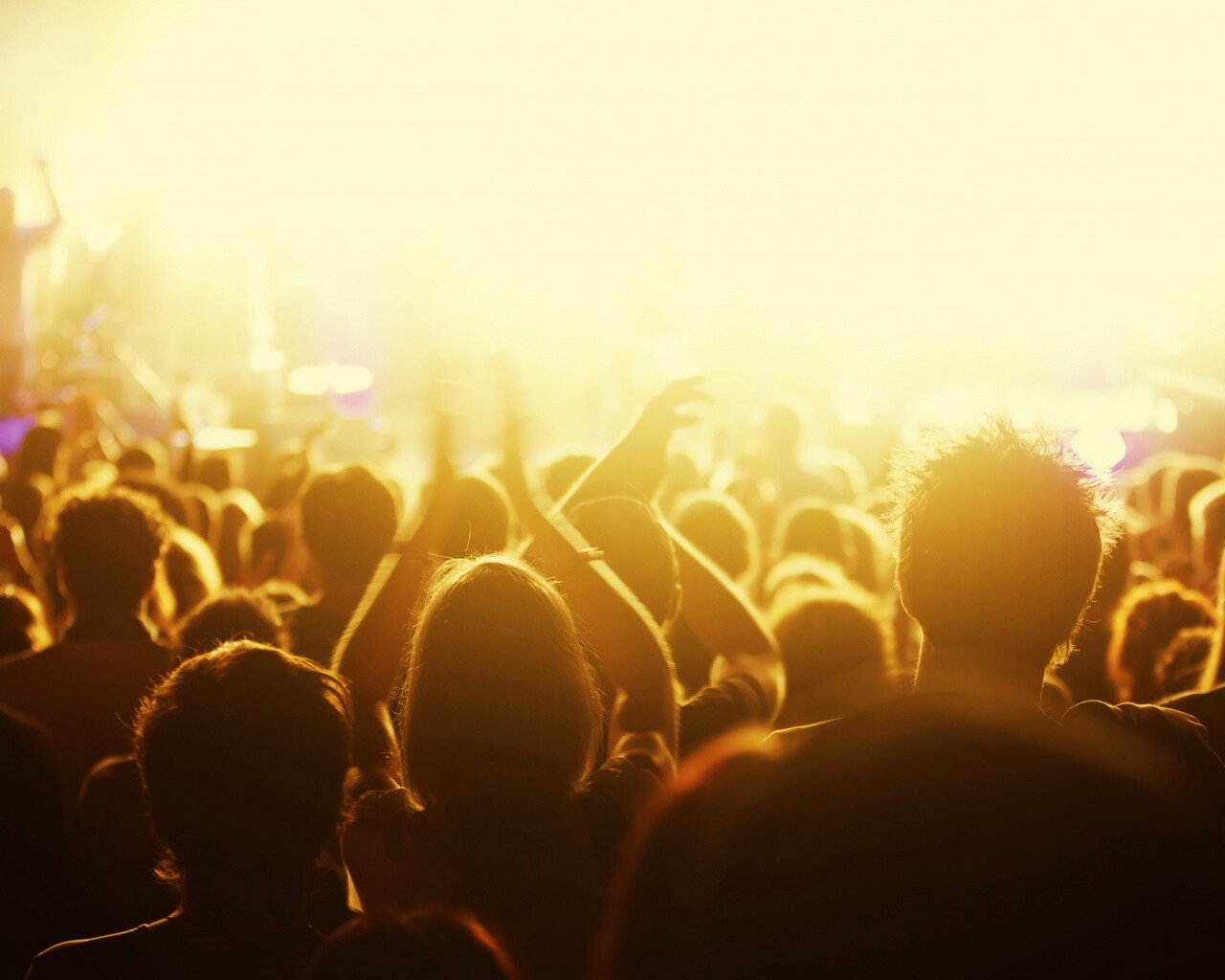 Люди на концерте обои