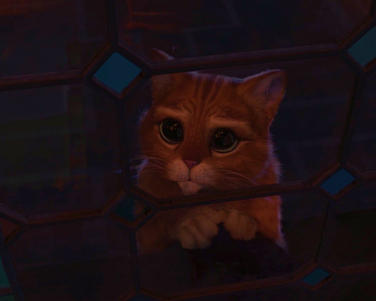 Кот в сапогах обои