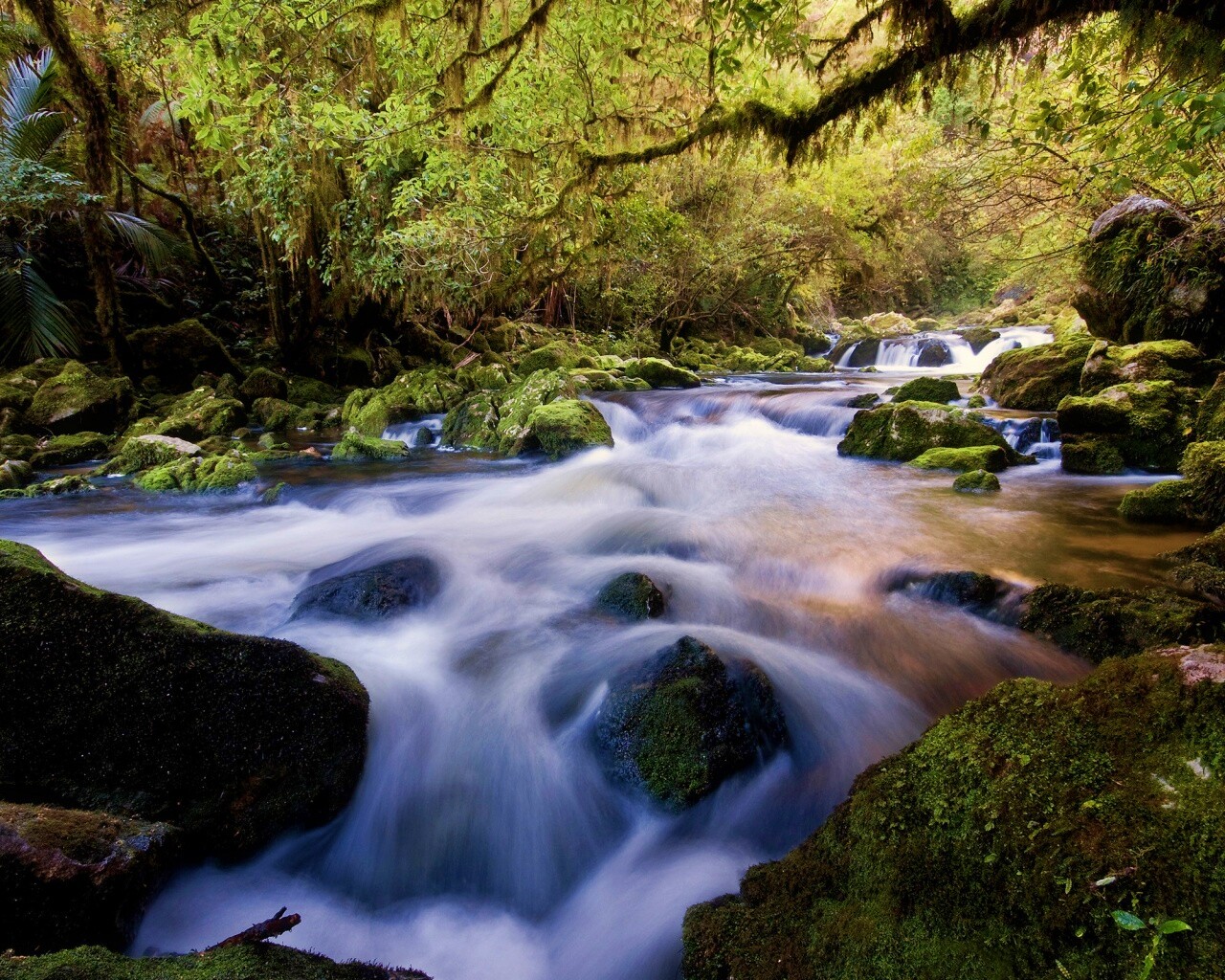 Лесной руче обои