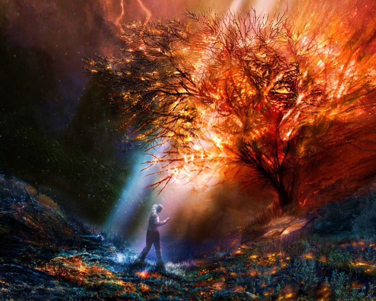 Горящее дерево обои