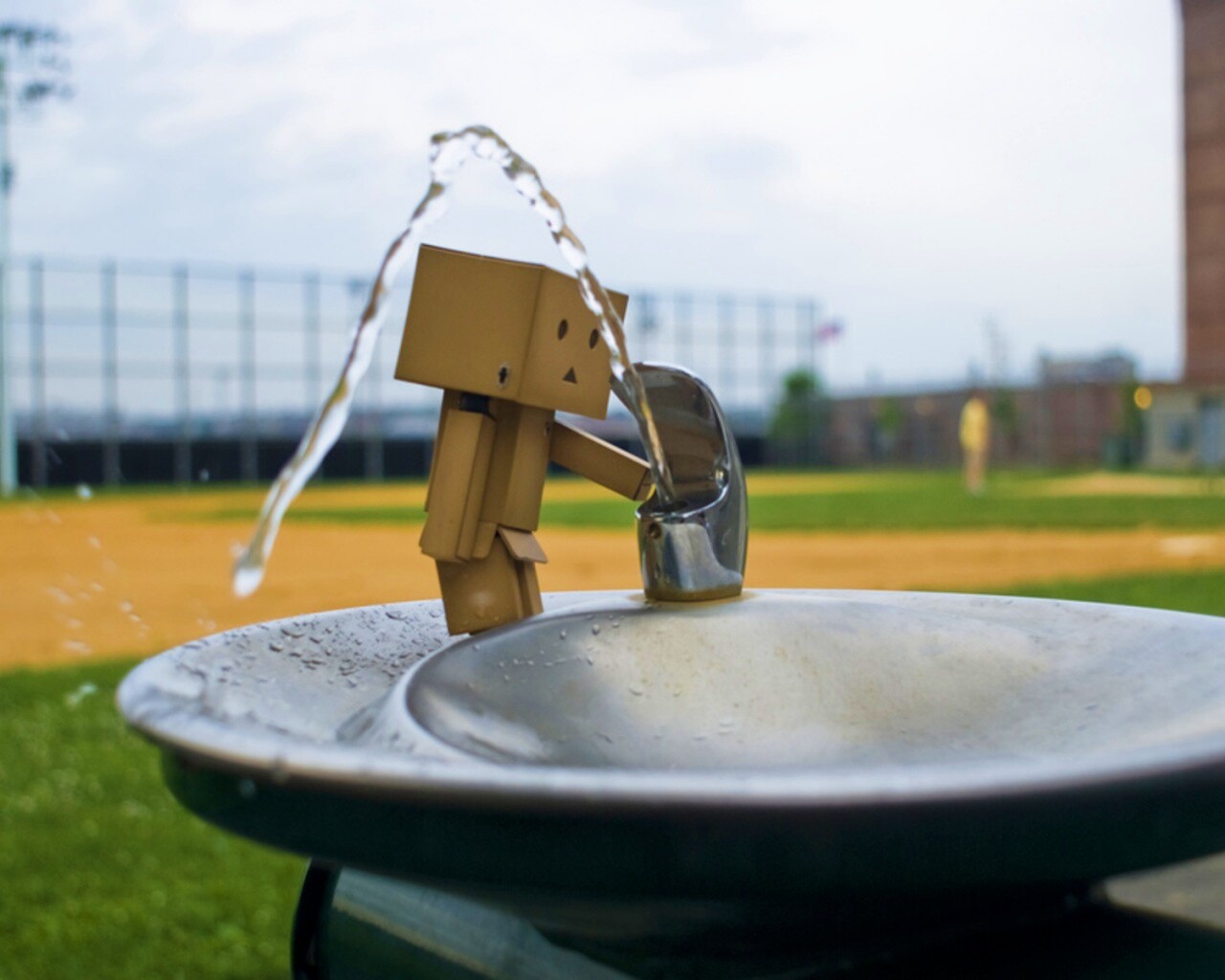 Дандо пьет в воду из фонтанчика обои