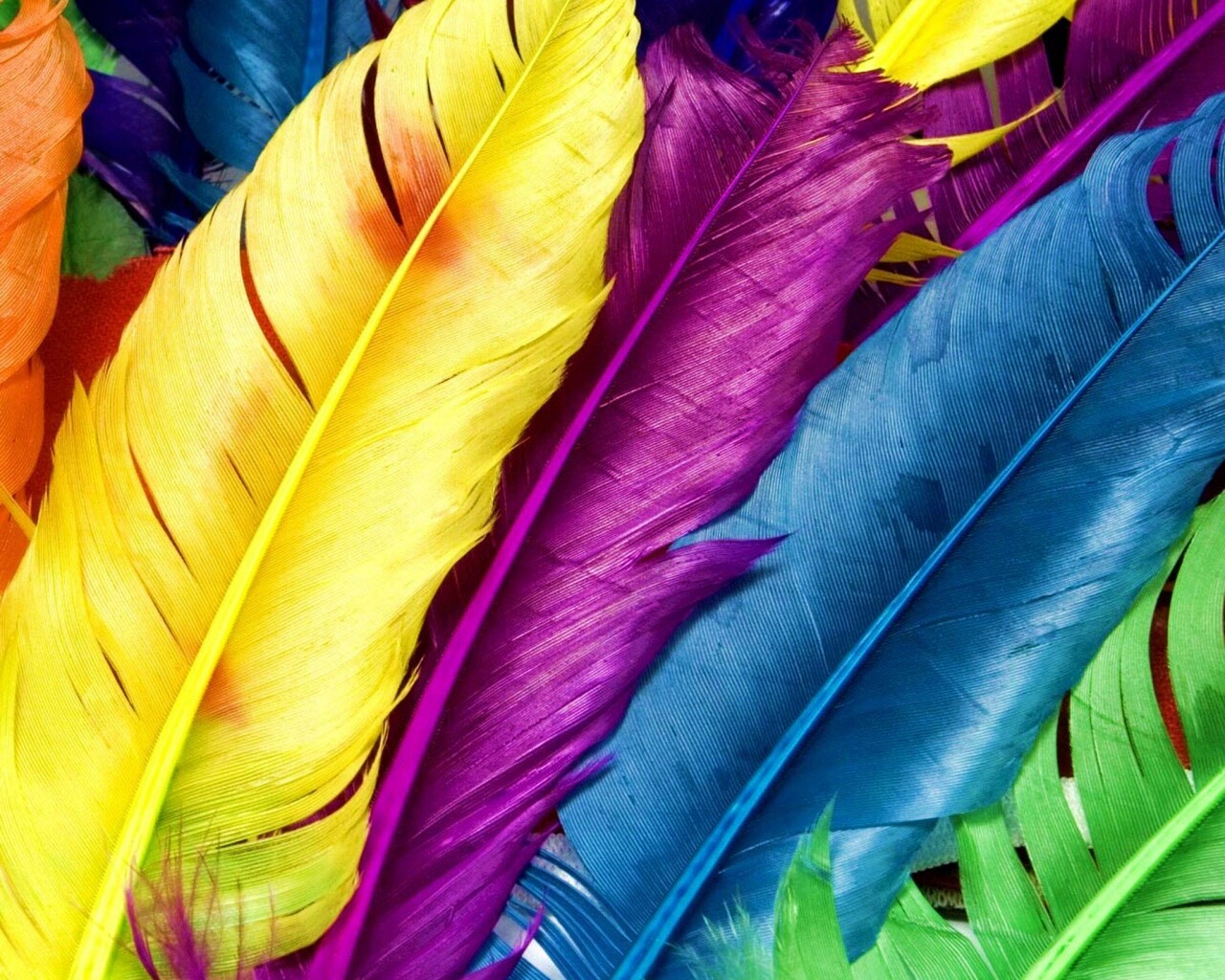 Разноцветные перья обои