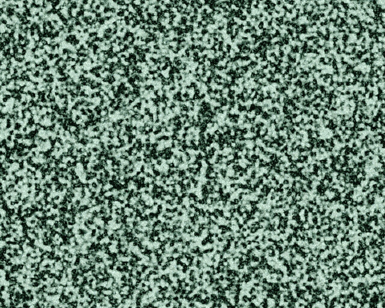 Черно-белый ковролин обои