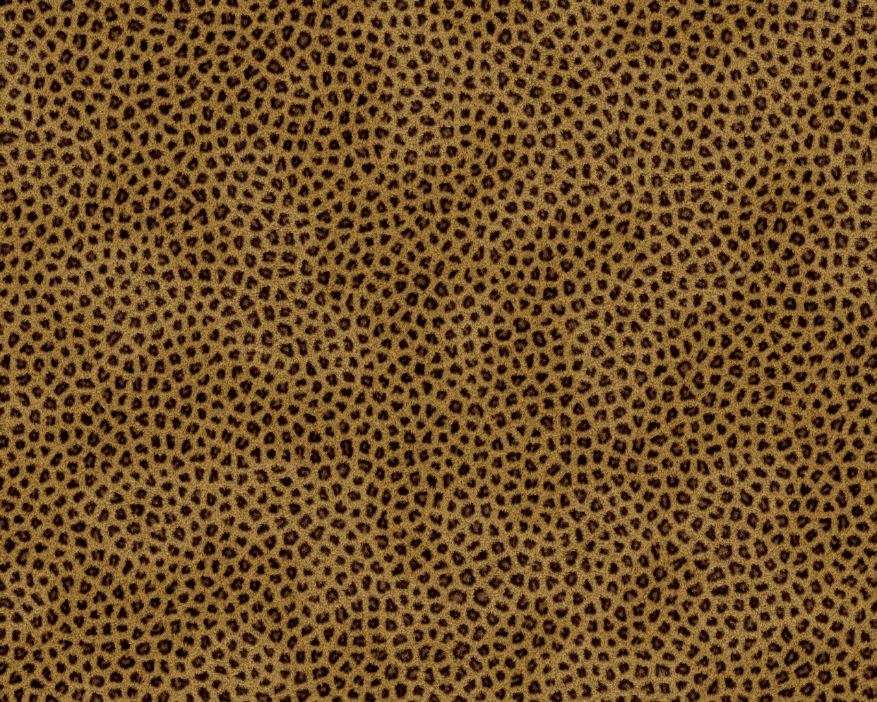 Пятнистая шкура обои