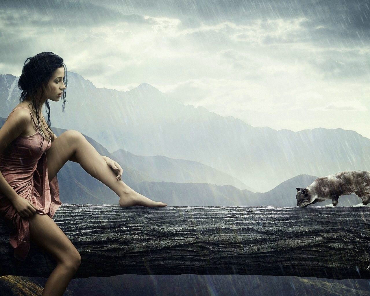 Девушка и кошка обои