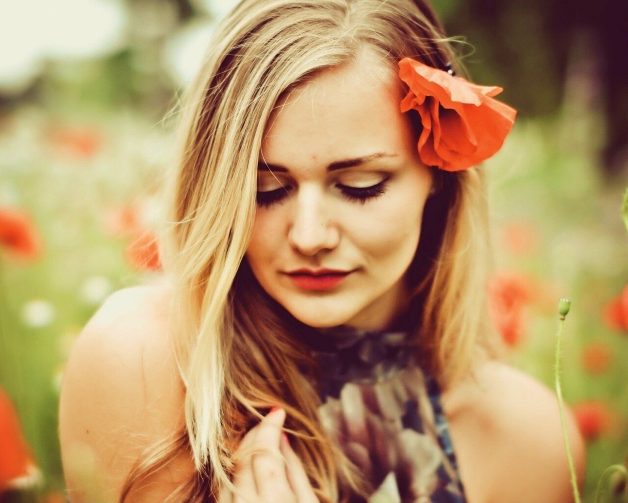 Блондинка в маках обои