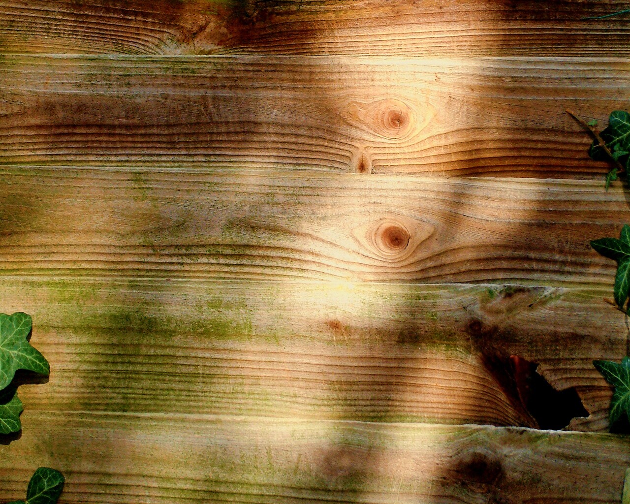 Деревянная поверхнуость обои