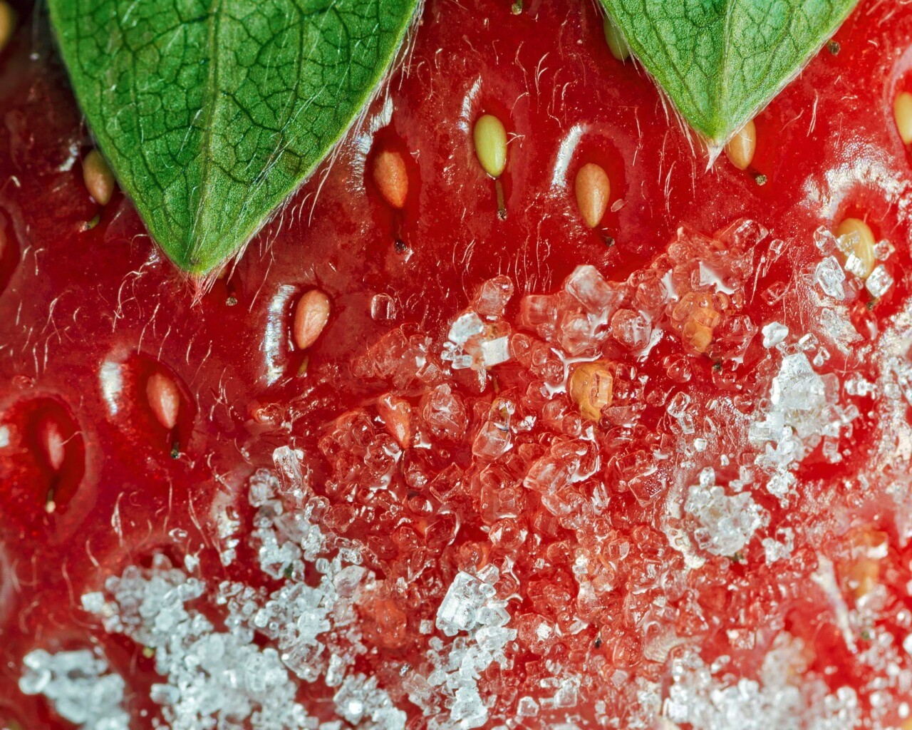 Клубника в сахаре обои