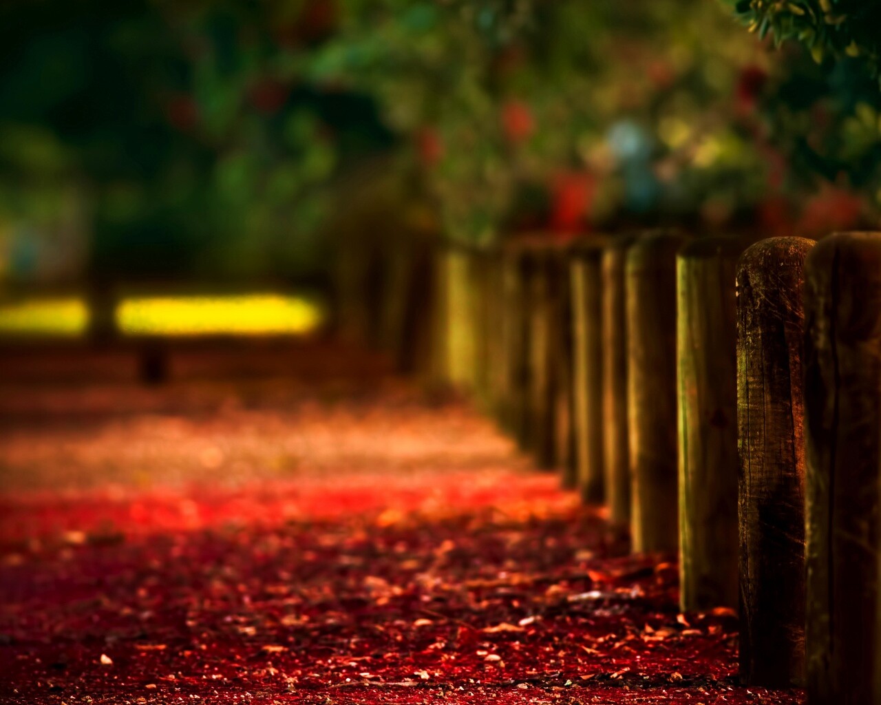 Аллея усеянная листвой обои