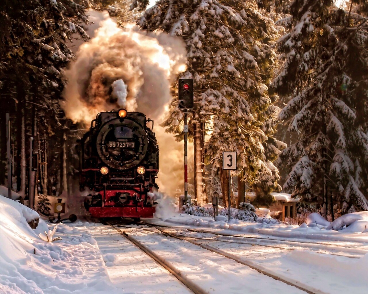 Паровоз в димнем лесу обои