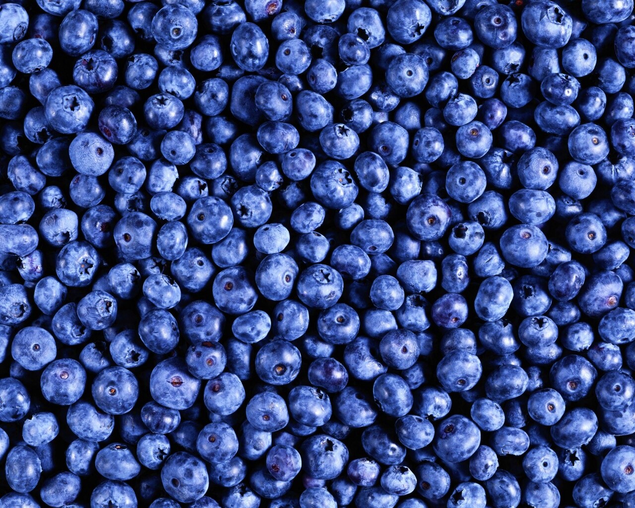 Черника обои