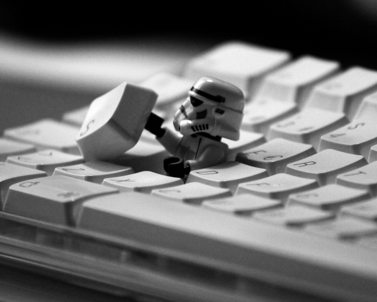 Засада имперского штурмовика обои