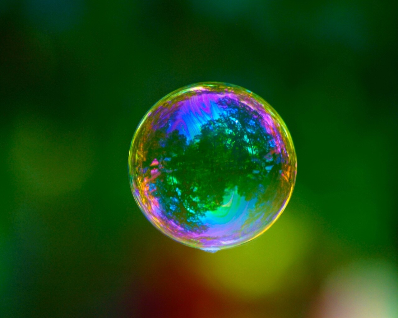 Мыльный пузырь обои