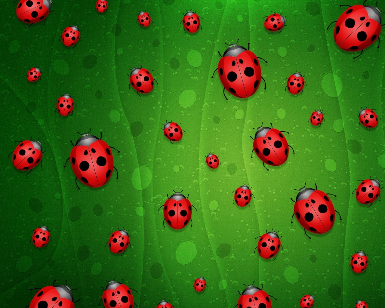 Божьи коровки обои