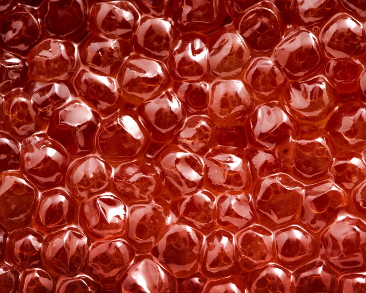 Красная икра обои