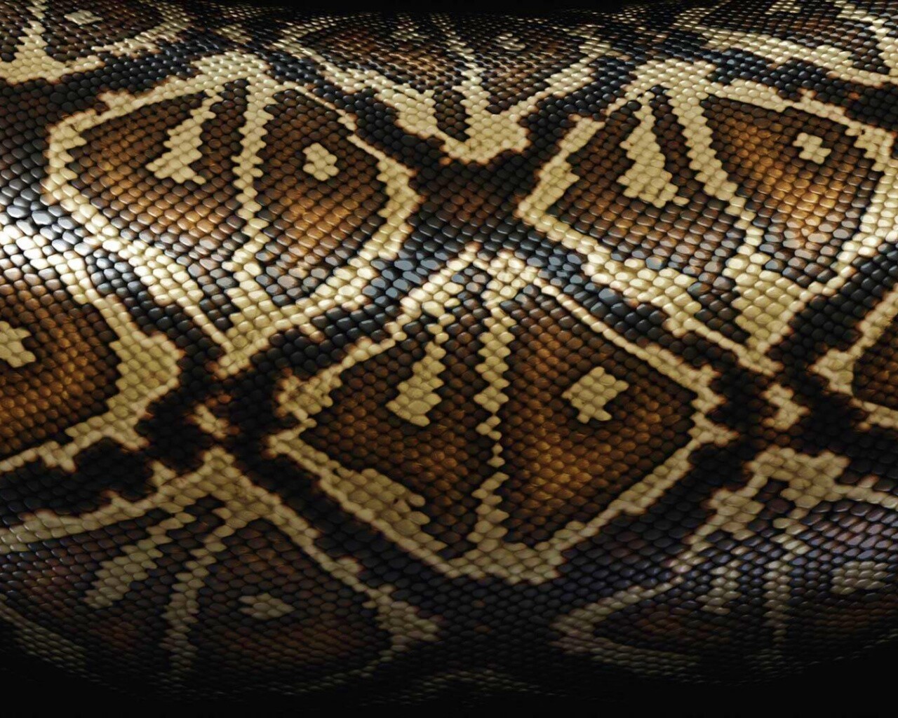 Змеиная кожа обои