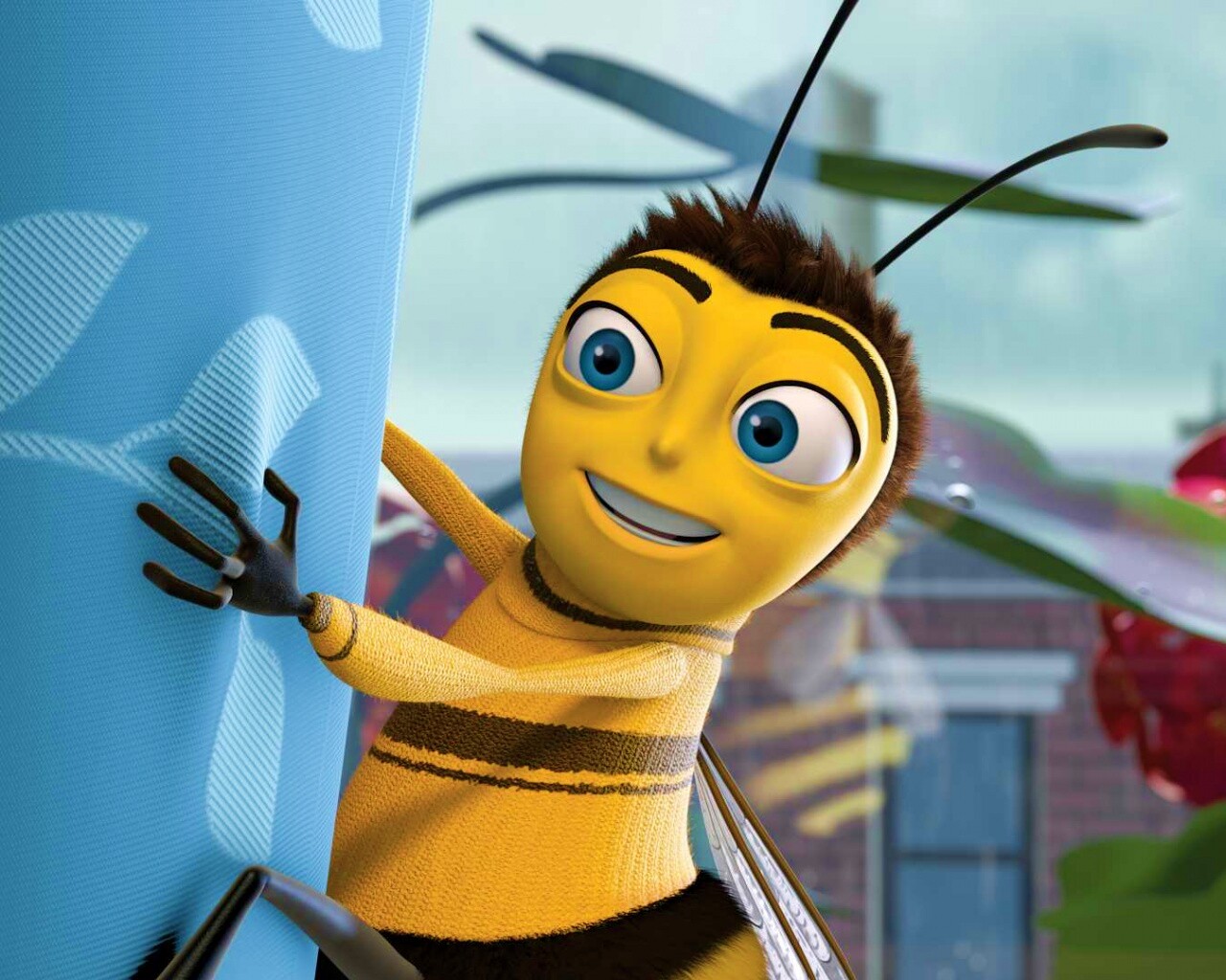 Бимуви обои