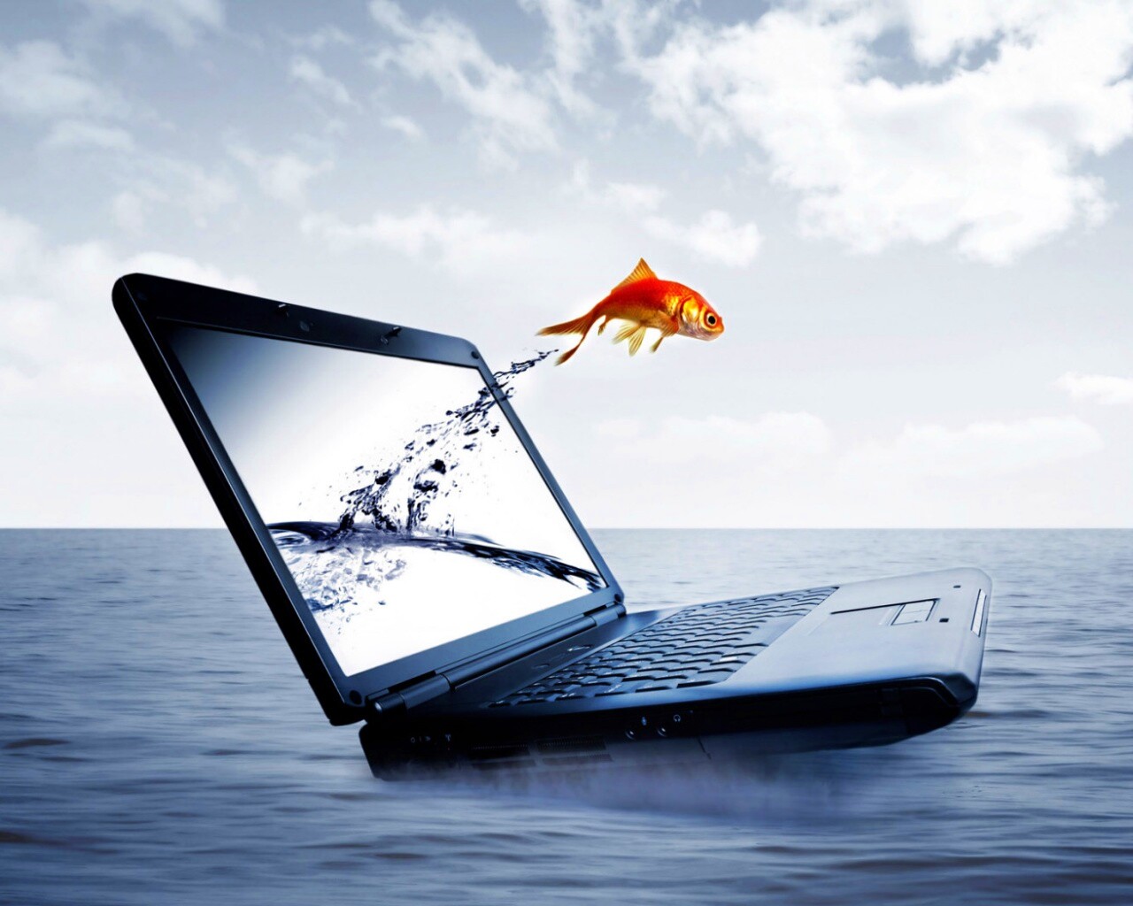 Золотая рыбка обои