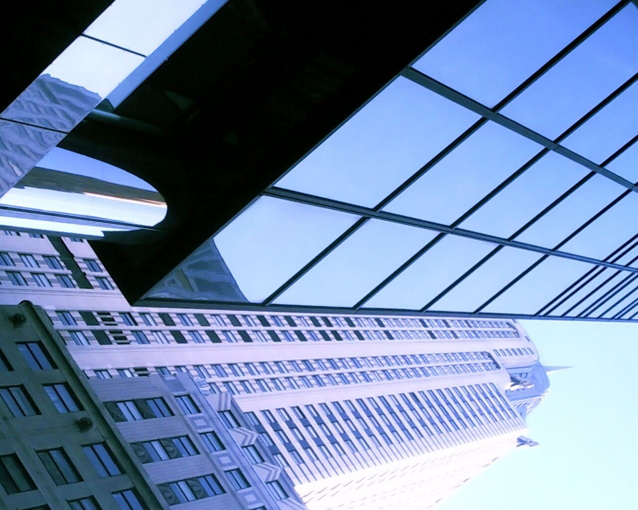 Взгляд вверх обои