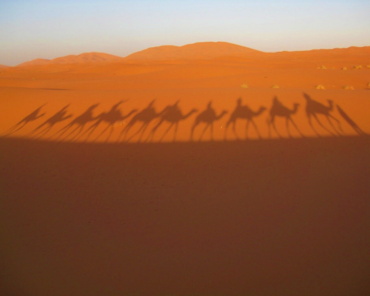 Караван обои