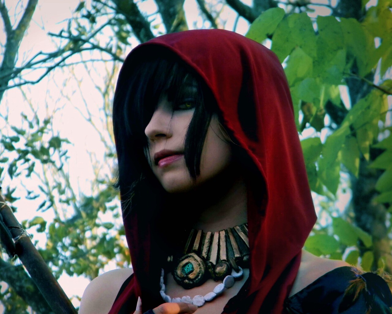 Косплей Морриган обои