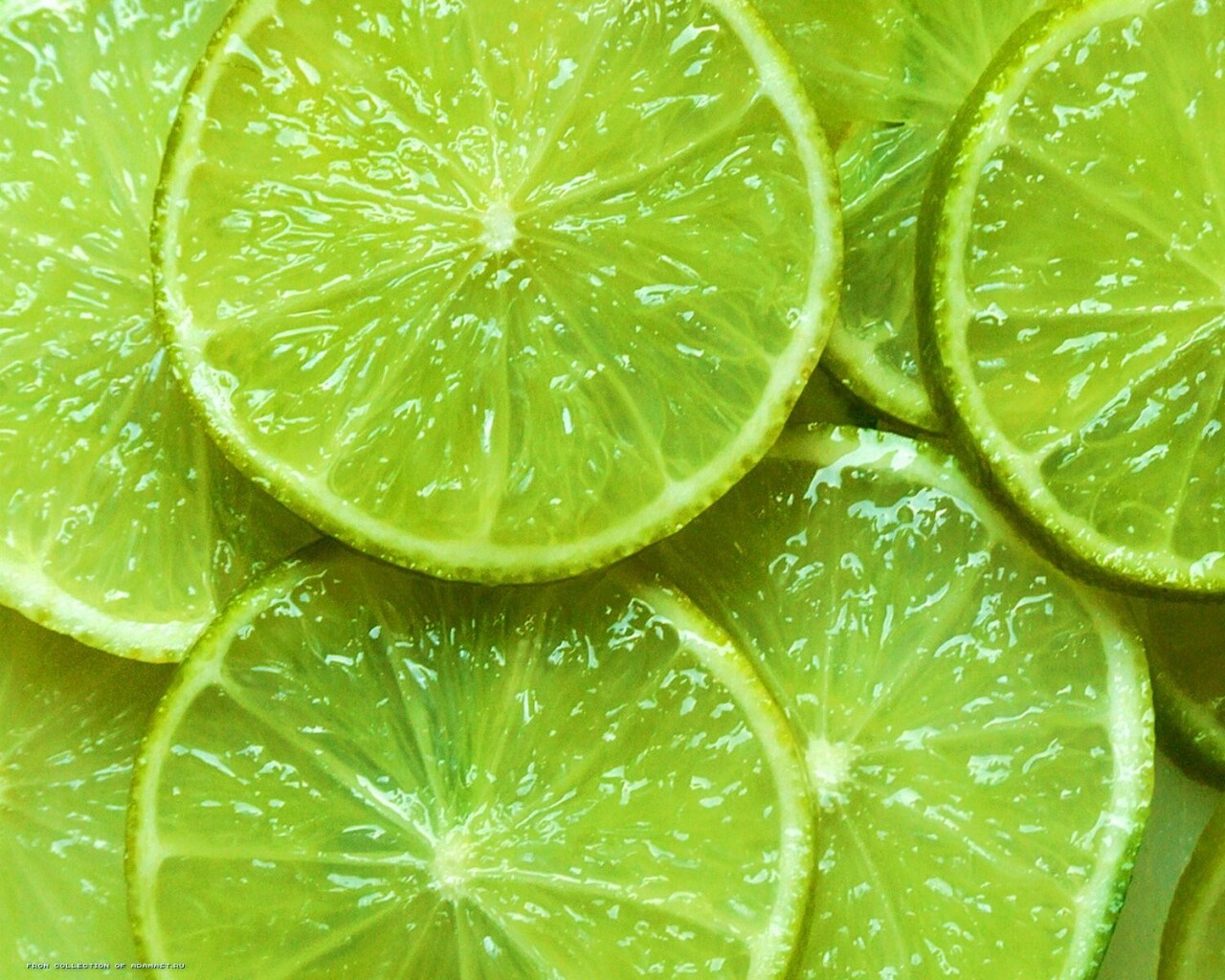 Зеленый лайм обои