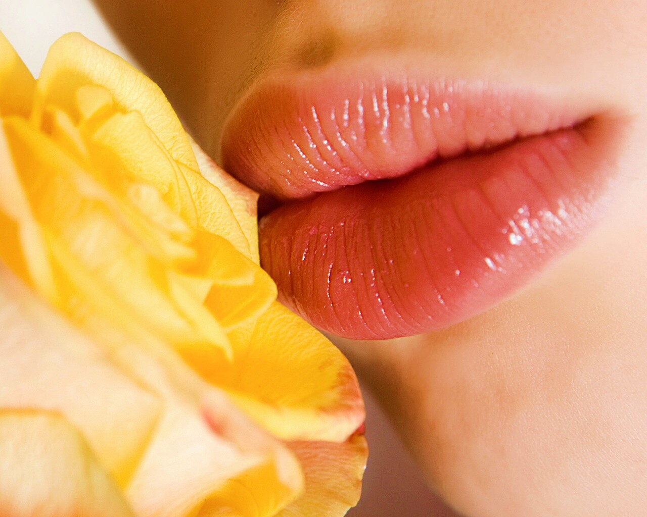 Губы девушки и роза обои