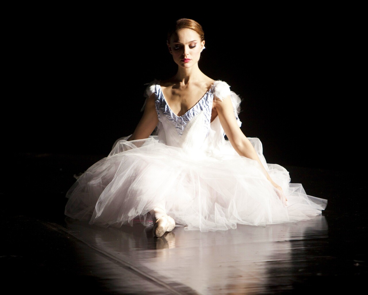 Черный лебедь обои