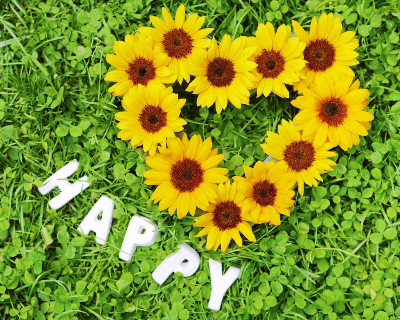 Радость обои