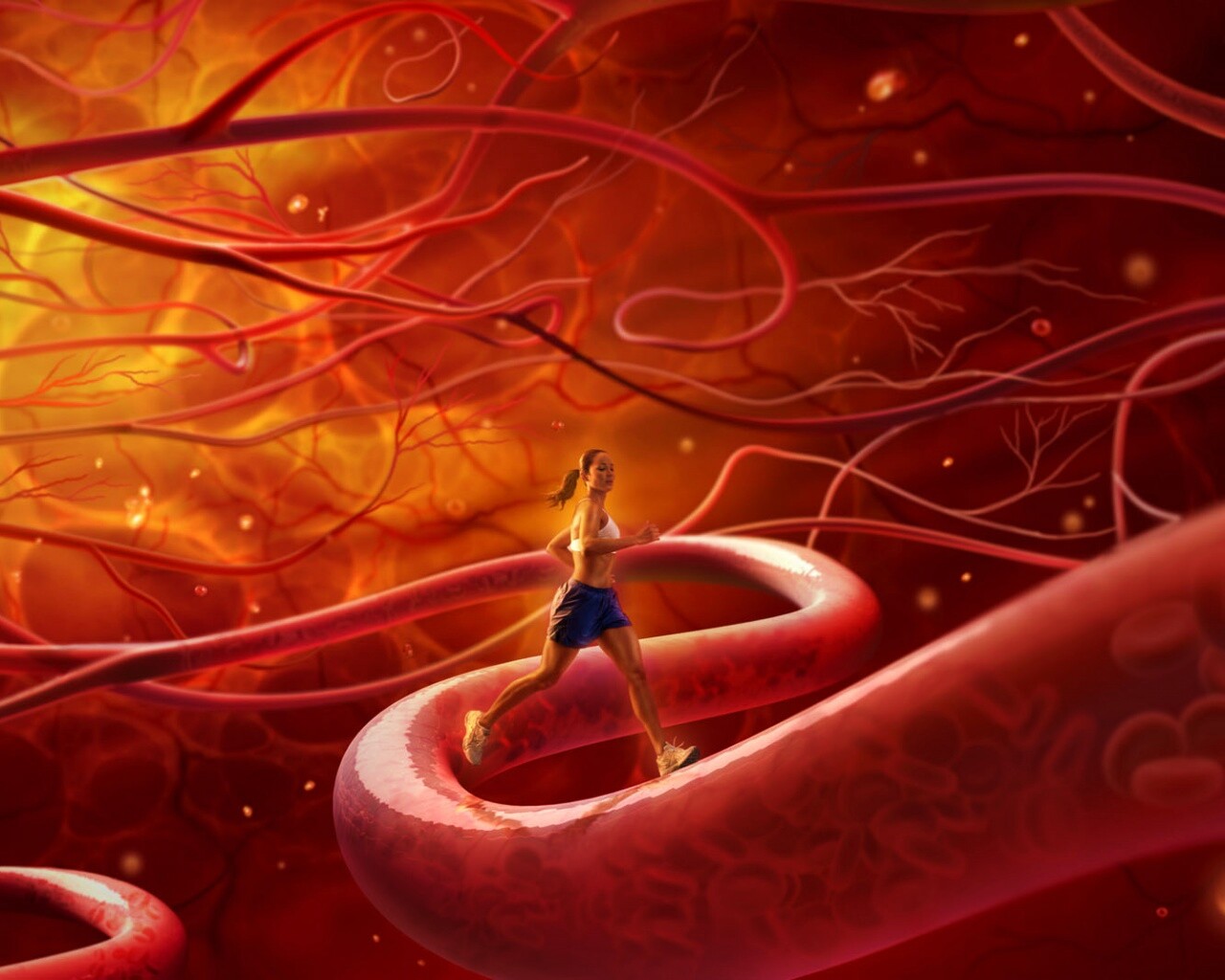 Бег крови обои