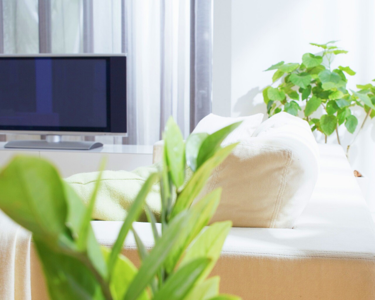 Белая комната обои