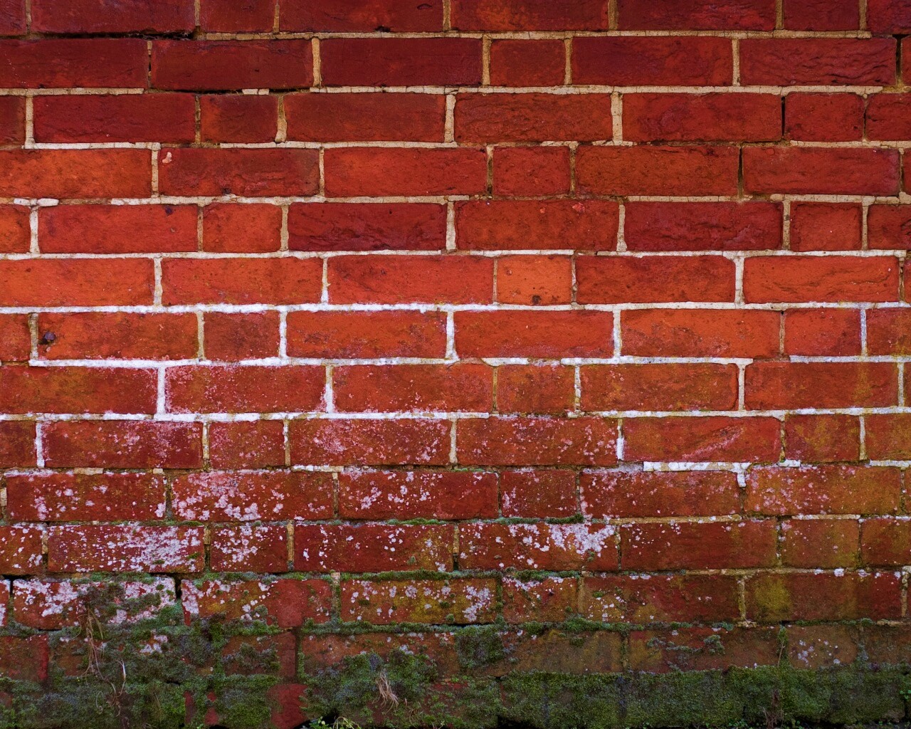 Старая кирпичная стена обои