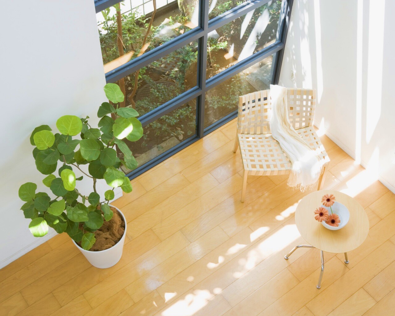 Стул, столик и цветы в комнате обои